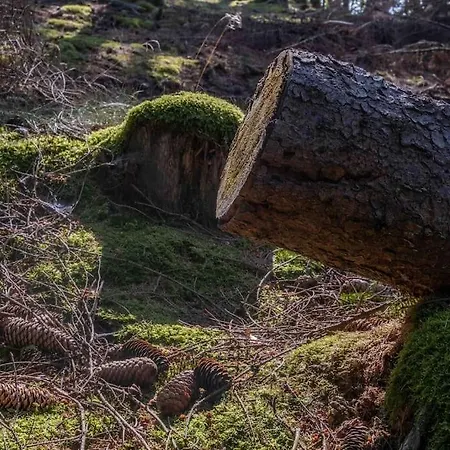 Maerchenhafte Fewo White Auf Dem Berg Im Sauerland Werdohl Exterior photo