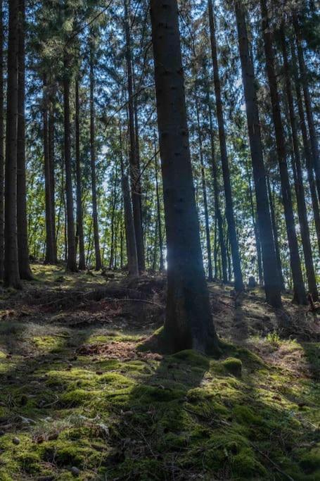 Apartment Maerchenhafte White Auf Dem Berg Im Sauerland Werdohl