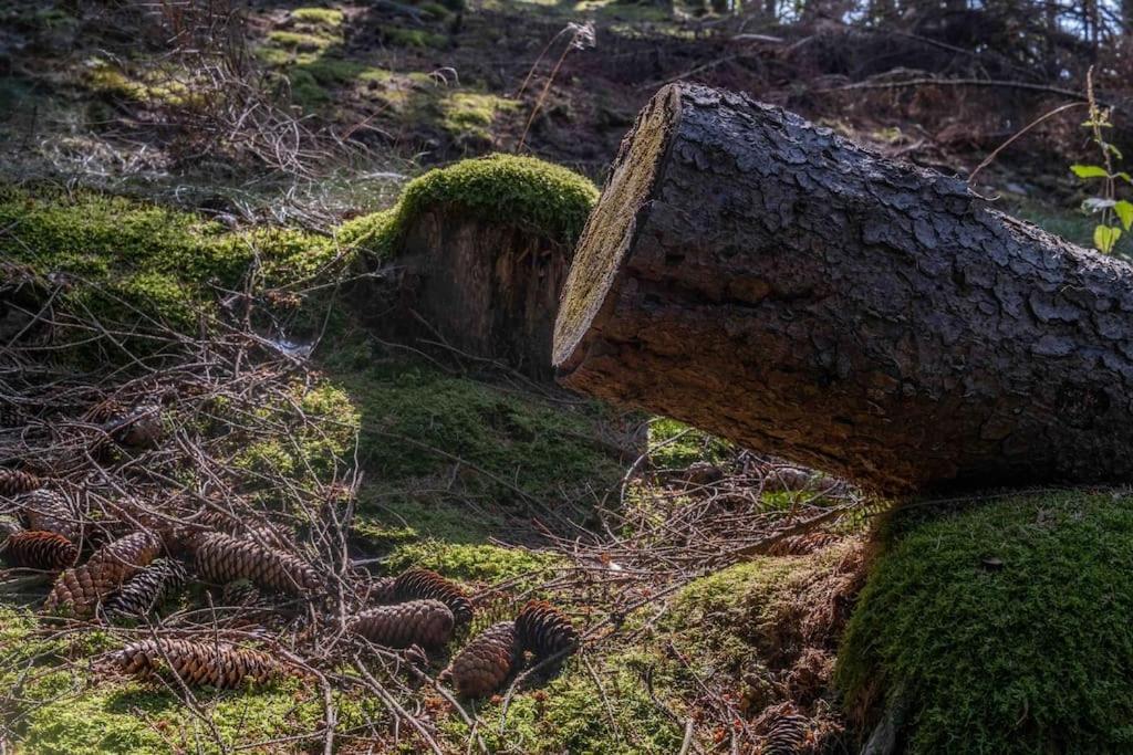 Maerchenhafte White Auf Dem Berg Im Sauerland *